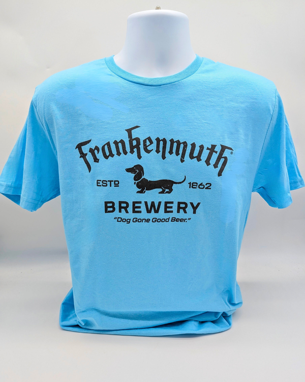 Soft Tee - Sky with gray logo